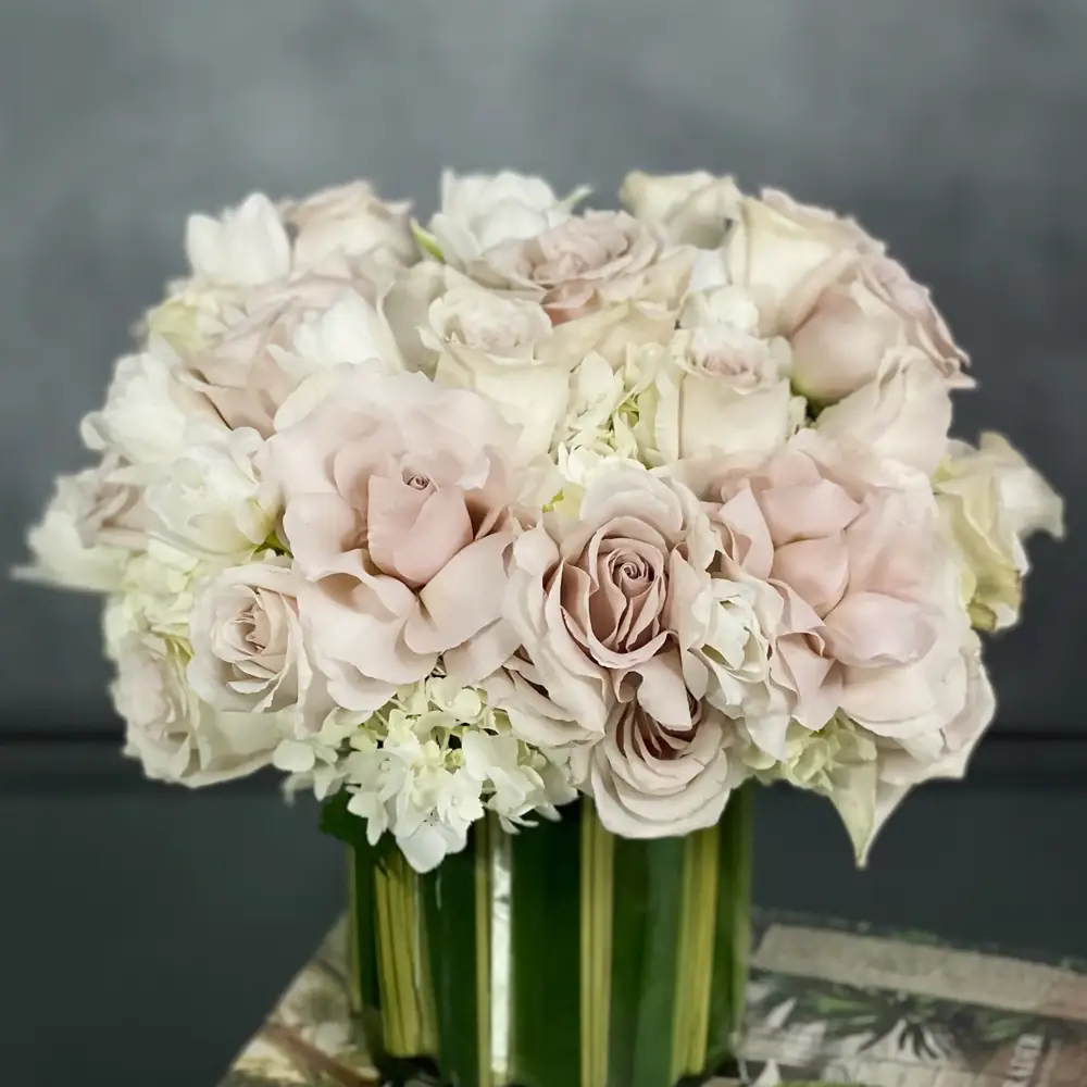Timeless Beauty - Cream And White Classic - LA Orchidia