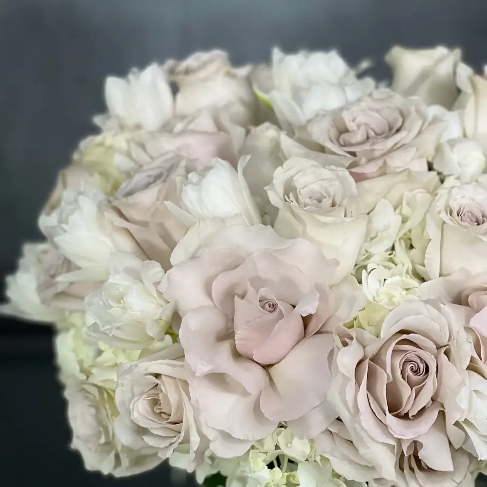 Timeless Beauty - Cream And White Classic - LA Orchidia