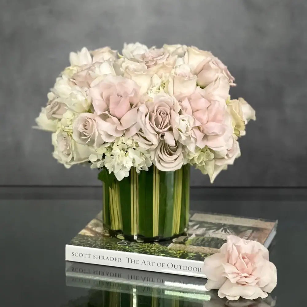 Timeless Beauty - Cream And White Classic - LA Orchidia