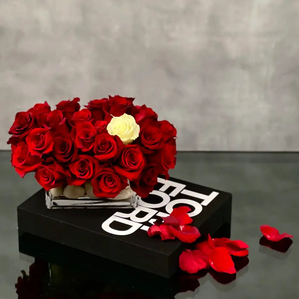 Tom's Roses - LA Orchidia