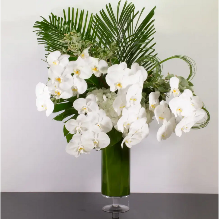 Tropical Orchid Elegance - LA Orchidia