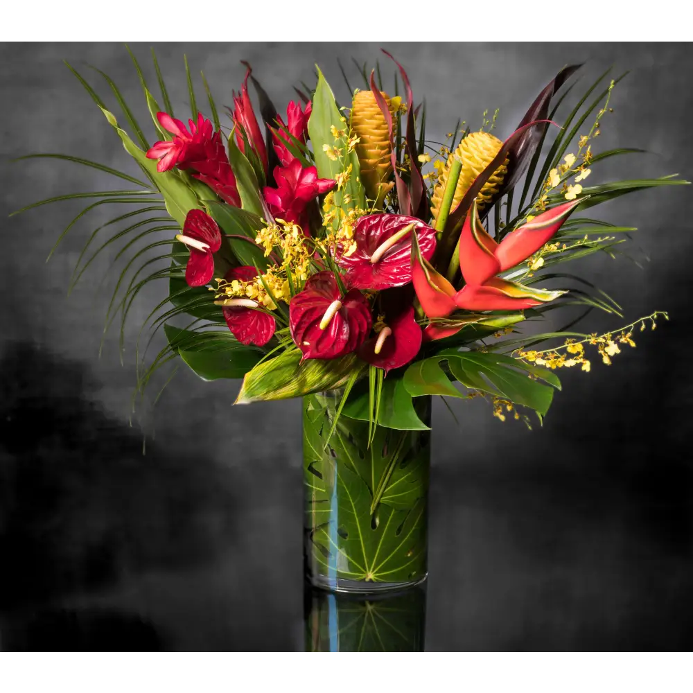 Tropical Paradise - LA Orchidia