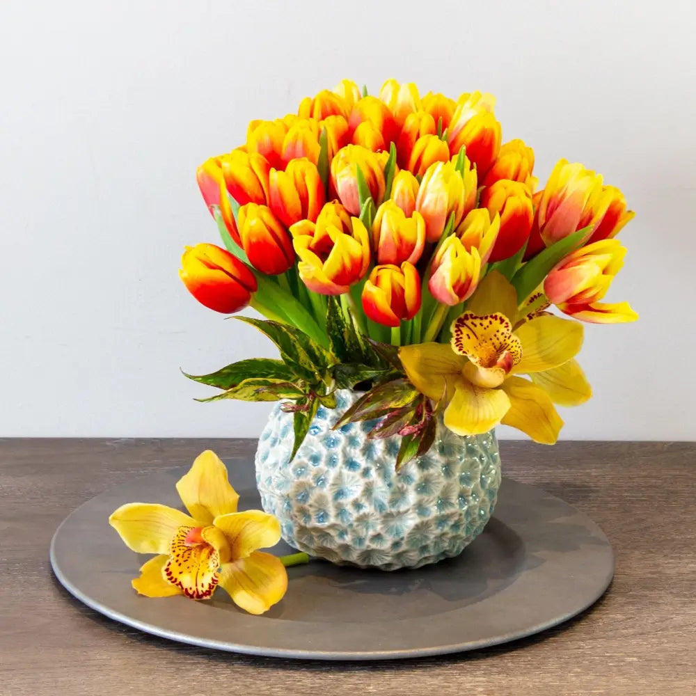 Tulip Fever - LA Orchidia