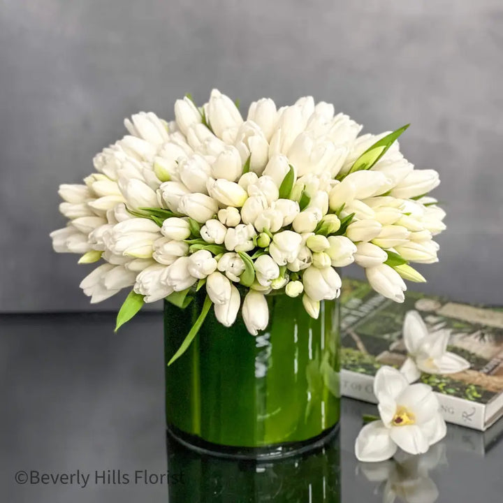 Tulip Fever - LA Orchidia