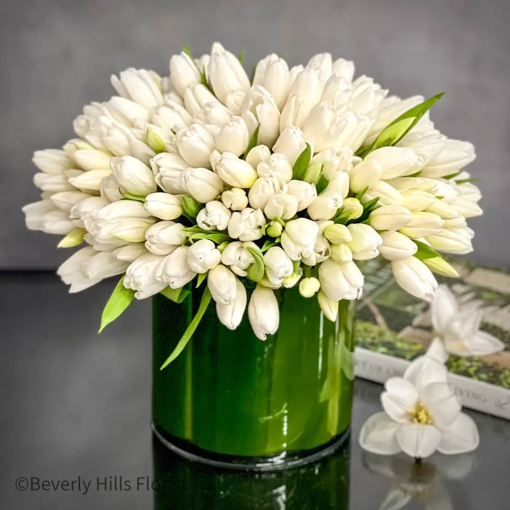 Tulip Fever - LA Orchidia