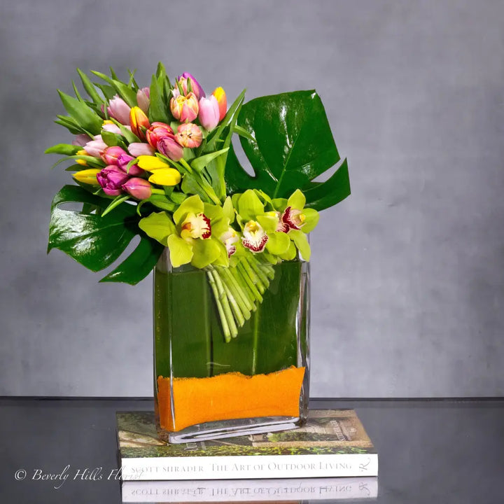 Tulips in Spring - LA Orchidia