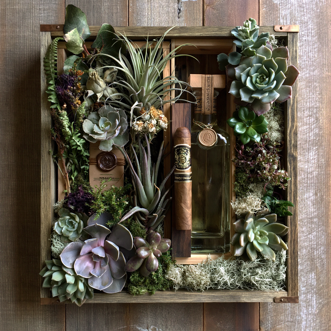 The Agave Garden Tequila & Cigar Succulent Crate
