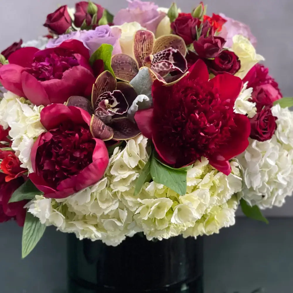 Valentines - Color my world - LA Orchidia