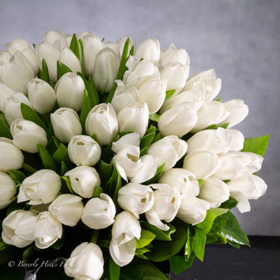 White Tulips in Crystal Splendor - santamonicaflorist