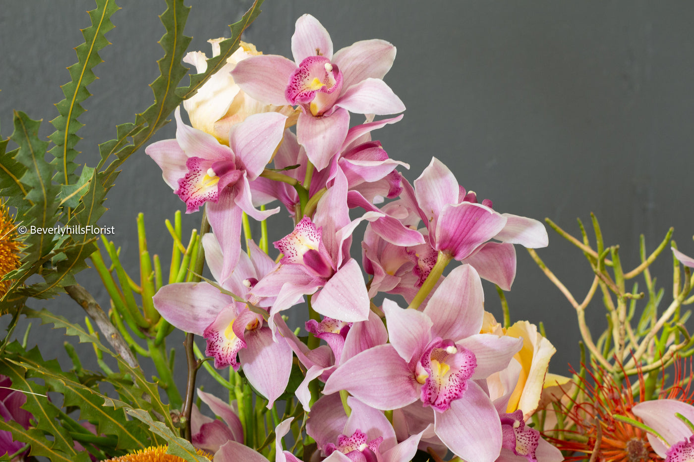 Vivid Orchids - santamonicaflorist