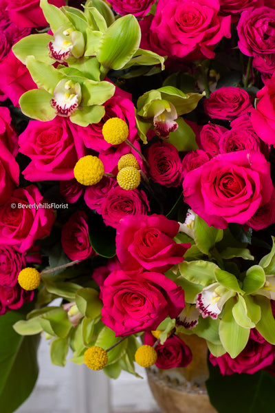 Amore Roses arrangement with red, pink, and cream roses, orchids, and spray roses in a golden pedestal container, available for same-day delivery by Santa Monica Florist.