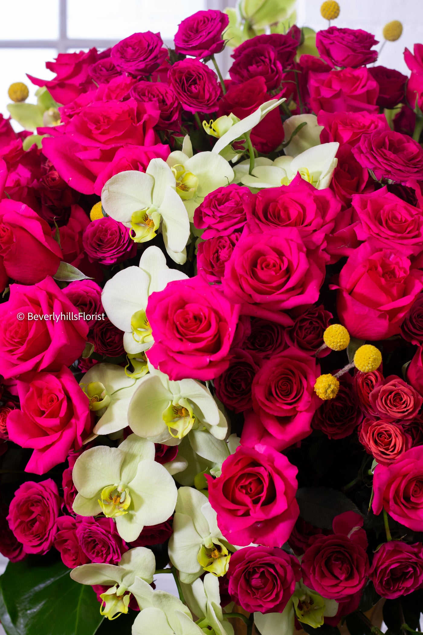 Amore Roses arrangement with red, pink, and cream roses, orchids, and spray roses in a golden pedestal container, available for same-day delivery by Santa Monica Florist.